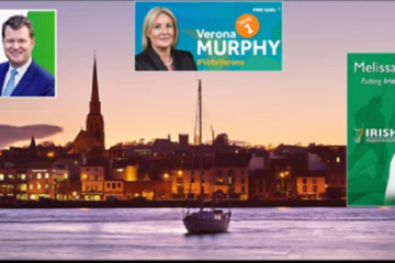 According to Fine Gael's Wexford by-election candidate, the issue of immigration has been raised by voters on the doorsteps.
