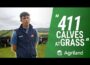 ABP Demo Farm Manager talks all things dairy calf to Beef
