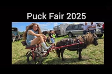 Puck Fair Horse Fair, Killorglin, 2025
