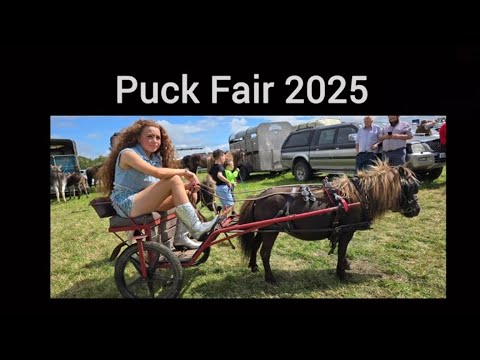 Puck Fair Horse Fair, Killorglin, 2025