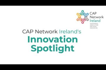 Bioregioning South East Ireland – Connecting and supporting local changemakers