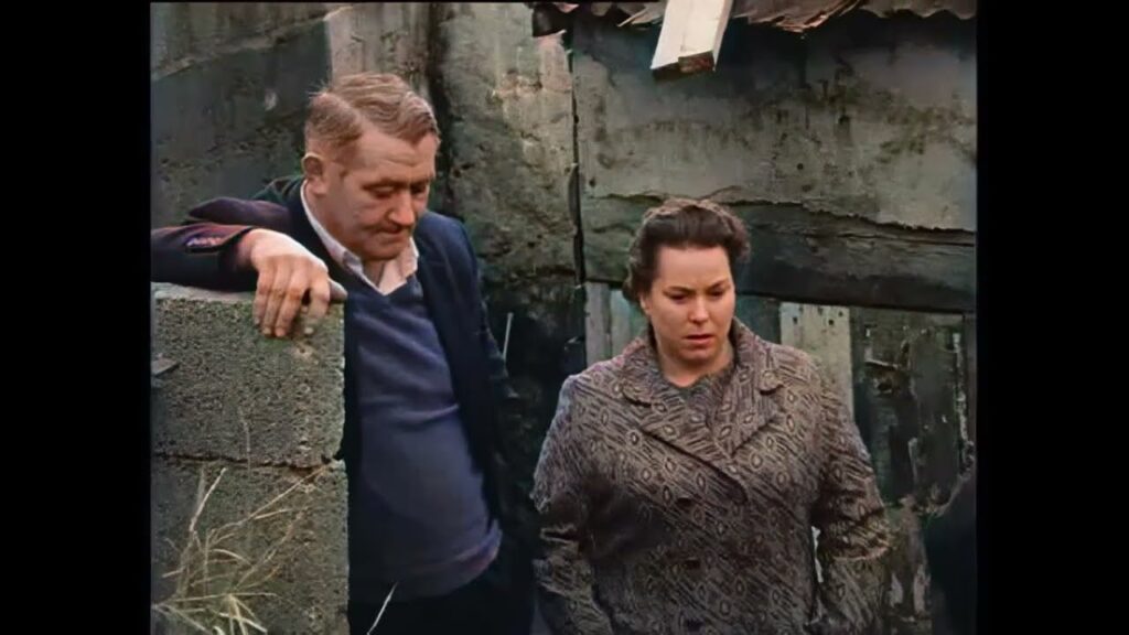 Rat Infested Houses in Limerick 1971