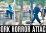 Ireland: Man Stripped and Beaten in Daylight Attack by Foreign Gang in Cork City Centre