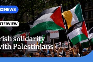 Why Ireland is a key Western supporter of Palestinians | The World | ABC NEWS