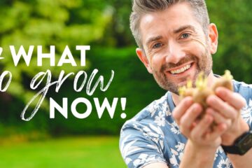 What to Grow in September | Not Your Usual What to Sow Video!