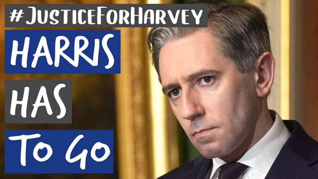 Harris Has To Go – An Tánaiste Has Failed Too Many Children | The Millennial Cynic #JusticeForHarvey