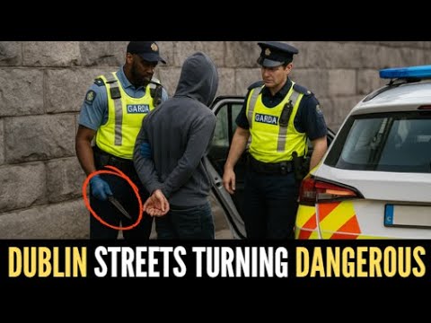 Dublin Knife Arrest Sparks Nationwide Safety Concerns