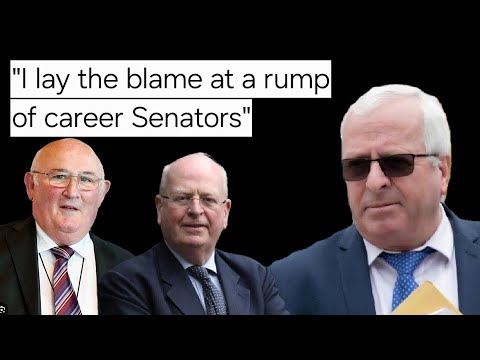 Mattie McGrath talks about Maria Streen on Tipp FM