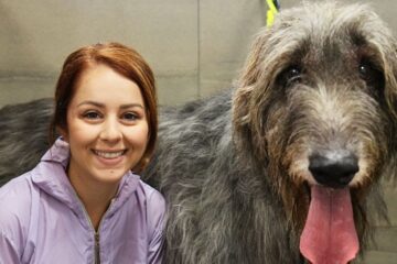 There’s a reason they call them WOLFhounds