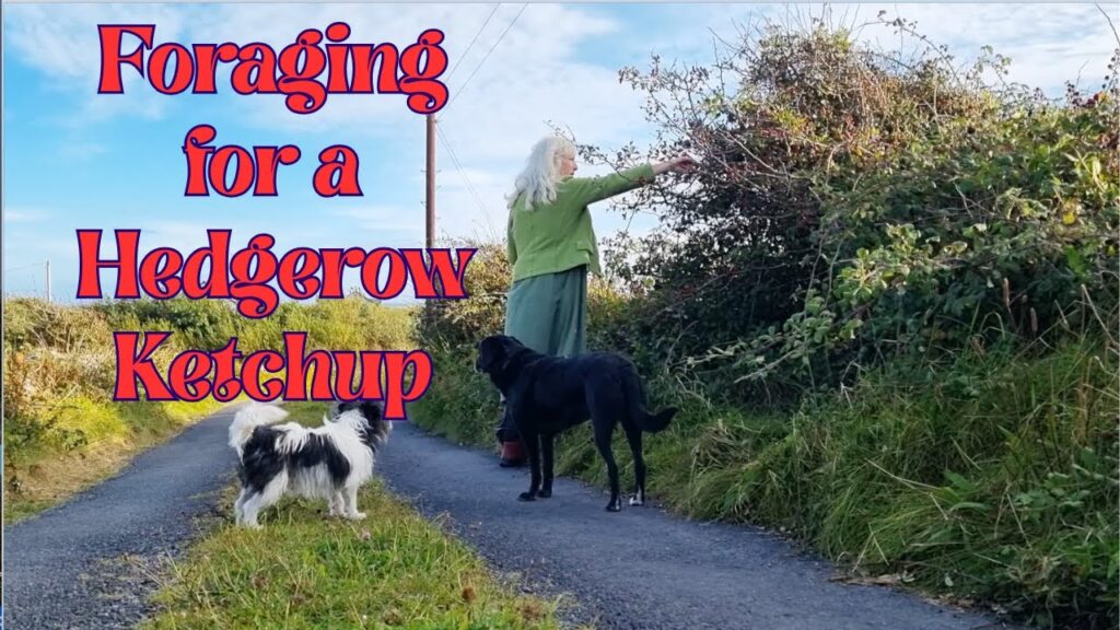 Foraging for a Hedgerow Ketchup