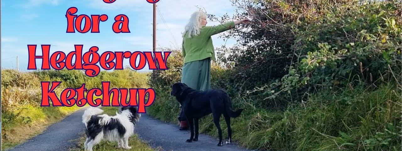 Foraging for a Hedgerow Ketchup