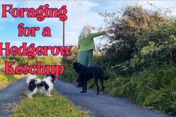 Foraging for a Hedgerow Ketchup