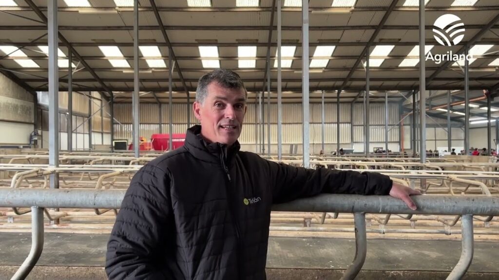 Waterford dairy farmer on improving infrastructure as herd produce 584kg MS/cow
