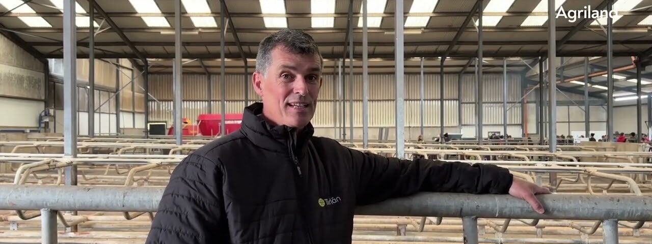 Waterford dairy farmer on improving infrastructure as herd produce 584kg MS/cow