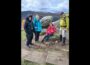 White Hill, Djouce and War Hill ,Co Wicklow