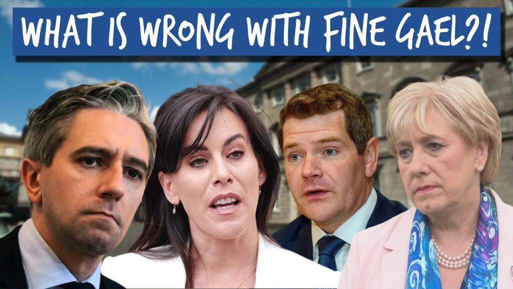 What Is Wrong With Fine Gael?! | The Millennial Cynic