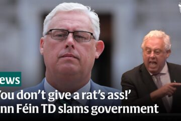 Sinn Féin TD Thomas Gould criticises handling of school transport for children with additional needs