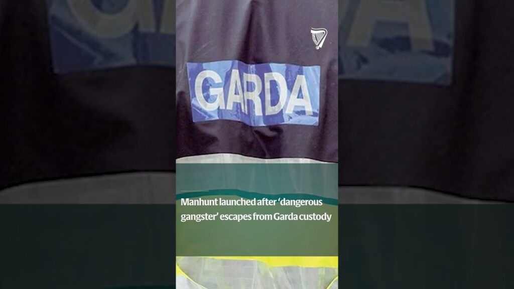Manhunt launched after ‘dangerous gangster’ escapes from Garda custody