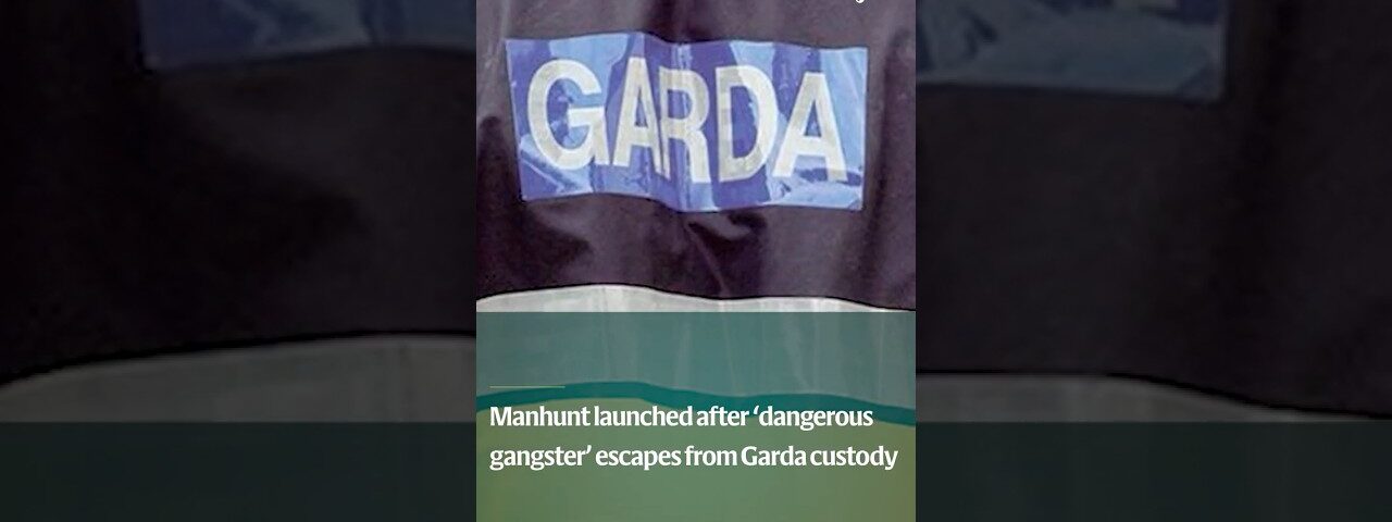 Manhunt launched after ‘dangerous gangster’ escapes from Garda custody