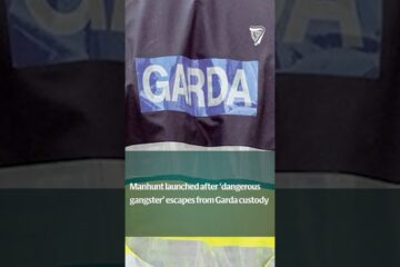 Manhunt launched after ‘dangerous gangster’ escapes from Garda custody