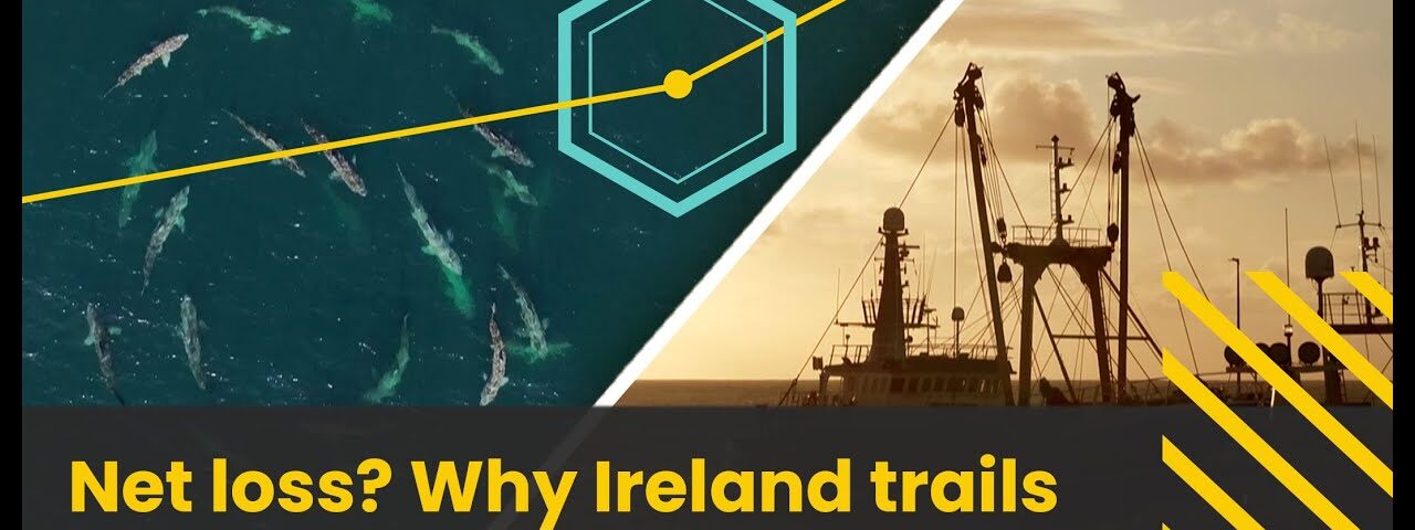 Net loss? Why Ireland trails Europe on marine protection | Prime Time