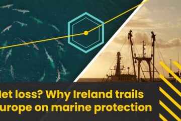 Net loss? Why Ireland trails Europe on marine protection | Prime Time