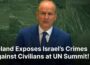 Ireland Condemns Israel’s Actions in Gaza | Calls for Two-State Solution | UN Summit
