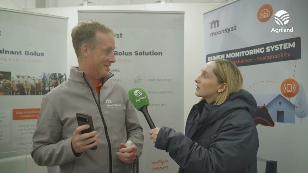 How heat detection and health monitoring boluses work