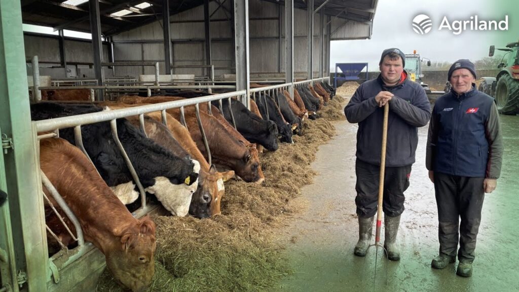 Ideal suckler setup and more in Borrisokane Ideal suckler setup and more in Borrisokane