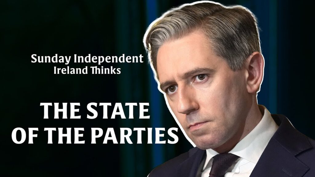 Sunday Independent/ Ireland Thinks poll: The state of the parties