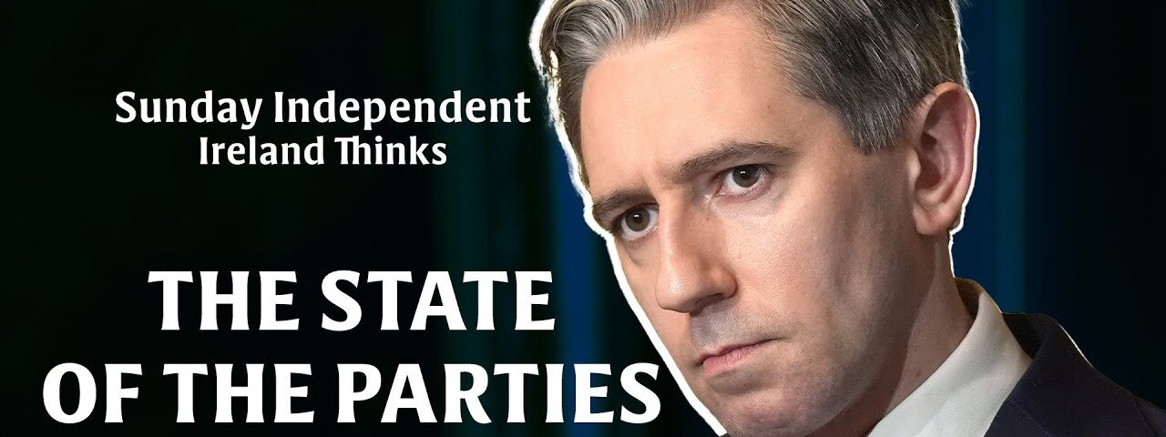 Sunday Independent/ Ireland Thinks poll: The state of the parties