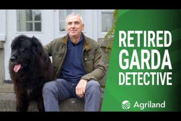 Retired Garda Detective’s novel idea to detect livestock theft