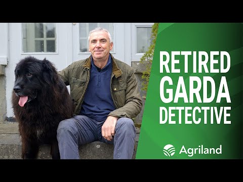 Retired Garda Detective’s novel idea to detect livestock theft Retired Garda Detective’s novel idea to detect livestock theft