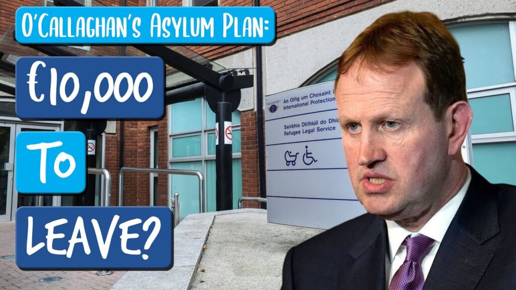 Ireland’s New Plan for Asylum Seekers: €10,000 to Leave? | The Millennial Cynic
