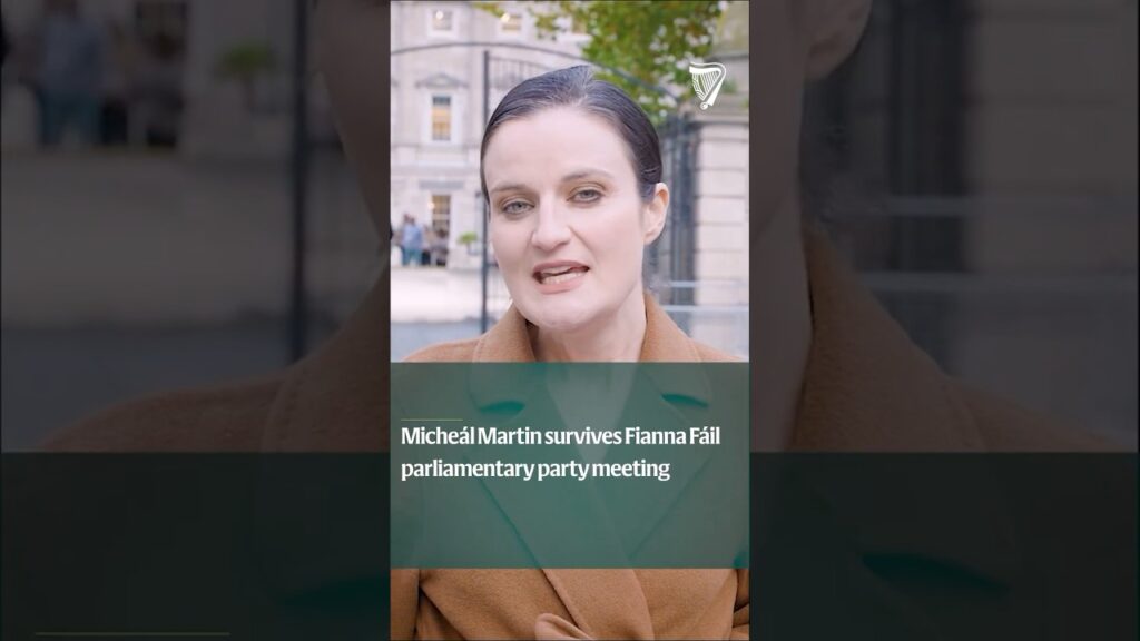 Micheál Martin lives to fight another day as Fianna Fáil leader