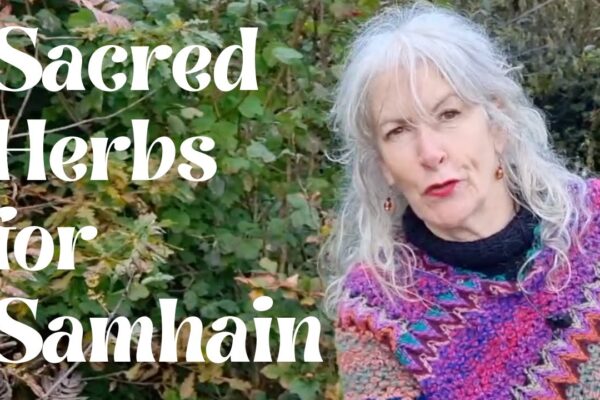 Sacred Herbs for Samhain