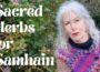 Sacred Herbs for Samhain