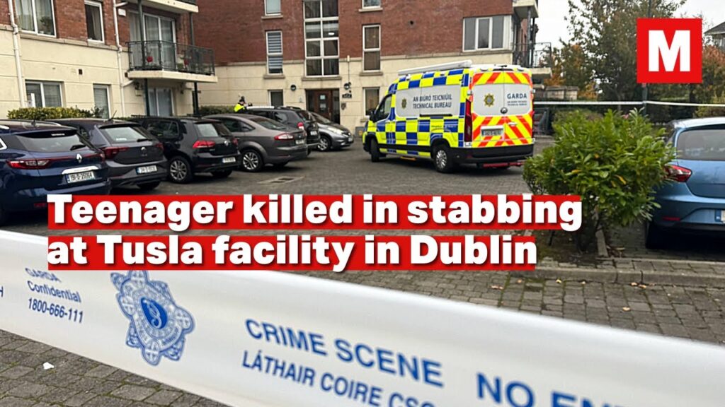 Teenage asylum seeker stabbed to death at Tusla facility in Dublin Teenage asylum seeker stabbed to death at Tusla facility in Dublin