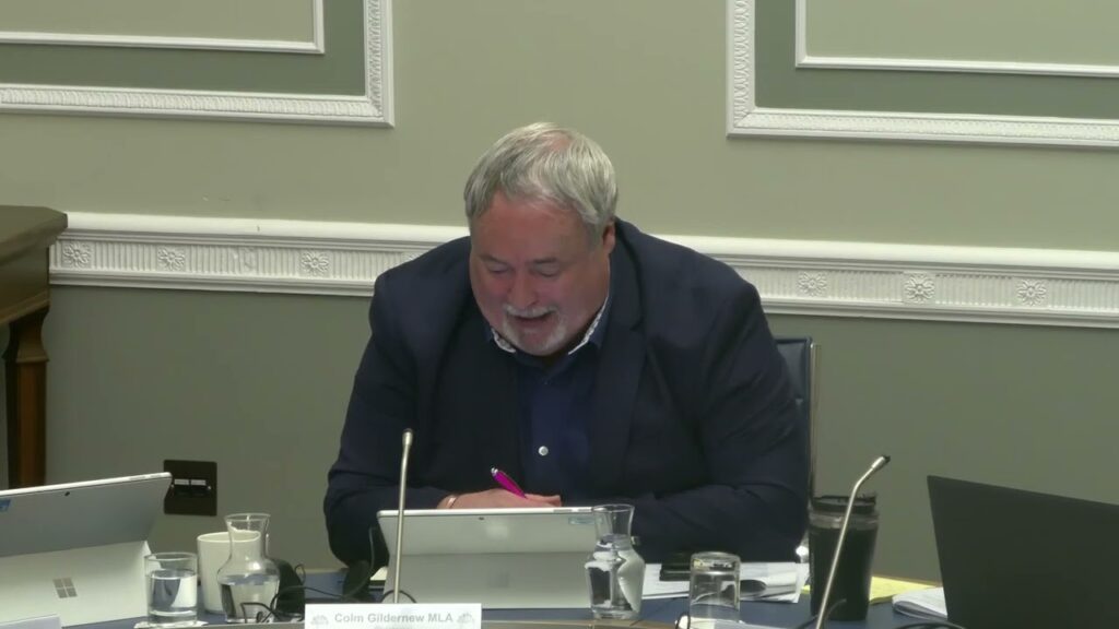 Committee for Communities – Irish Language Strategy Co-Design Group as spoken