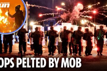 Riot cops pelted with bottles and stones as disorder broke out a Dublin asylum seekers hotel