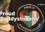 Why are the Irish so staunchly pro-Palestinian?