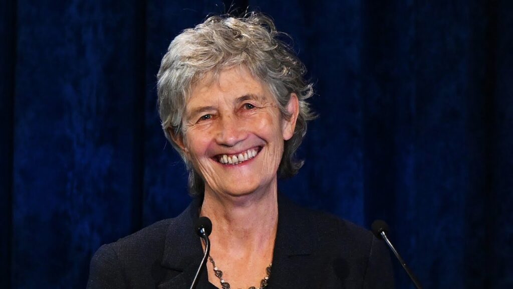 ‘Walking disaster’: Catherine Connolly won the Irish election off a ‘technicality’ ‘Walking disaster’: Catherine Connolly won the Irish election off a ‘technicality’