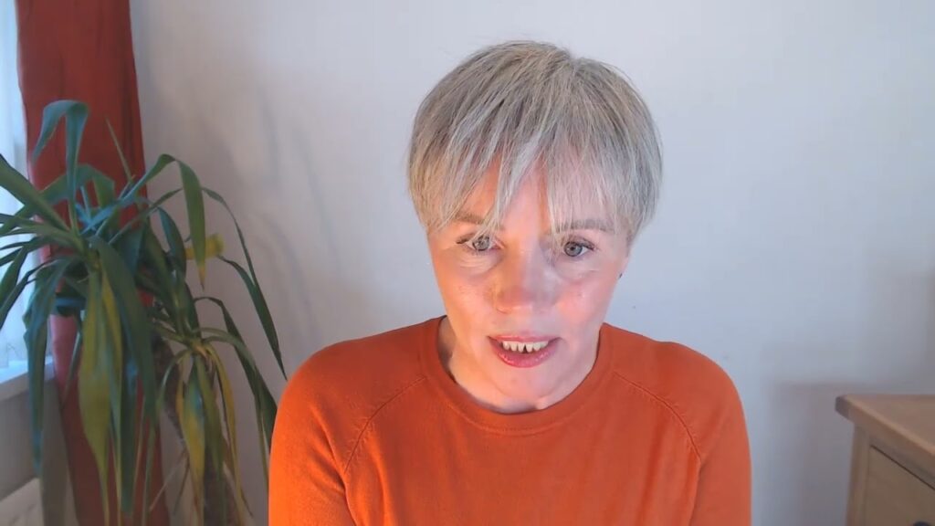 Sinn Fein Exposed – Here’s the truth