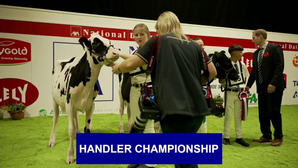 AXA National Dairy Show 2025 – Day One