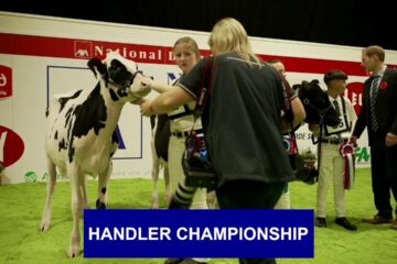 AXA National Dairy Show 2025 – Day One