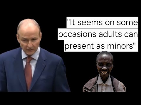 Micheál Martin speaks in the Dáil about migrants arriving to Ireland and pretending to be children