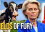 From Fields to Fury: The EU’s War on Farmers