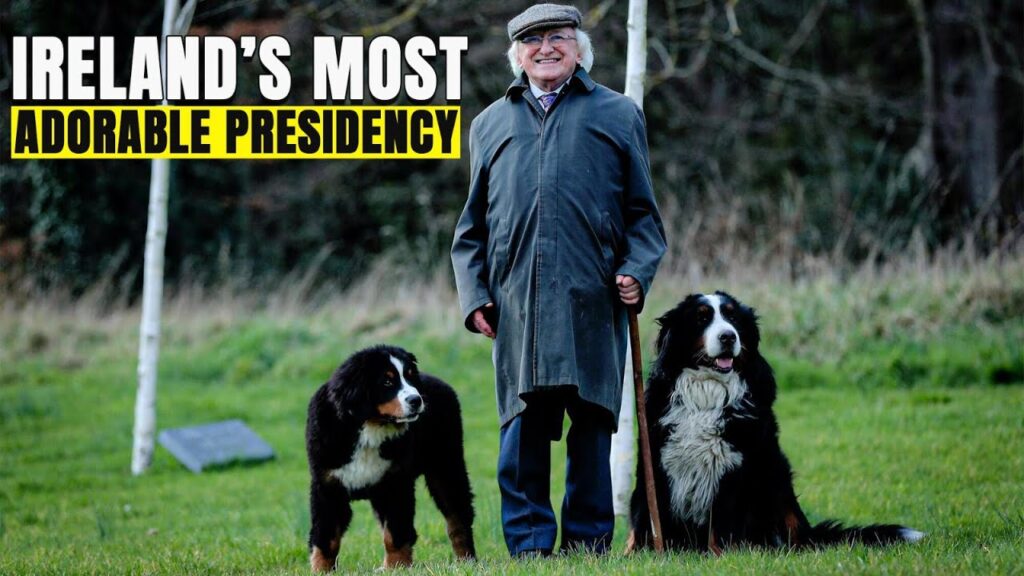 Dogs of the Irish President Dogs of the Irish President