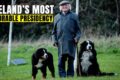 Dogs of the Irish President