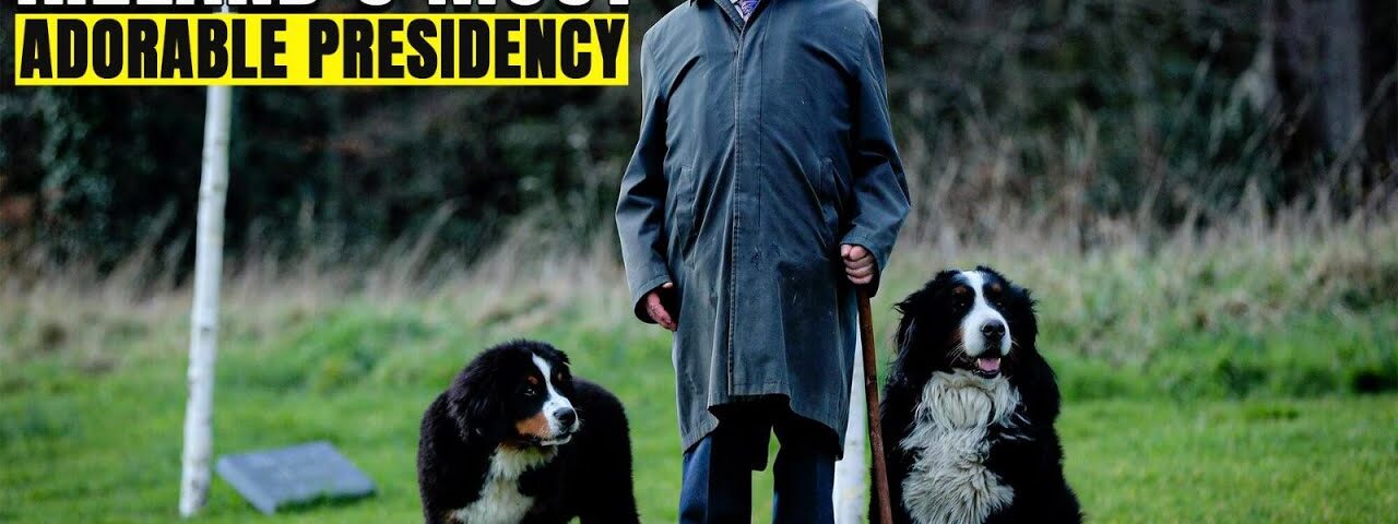 Dogs of the Irish President